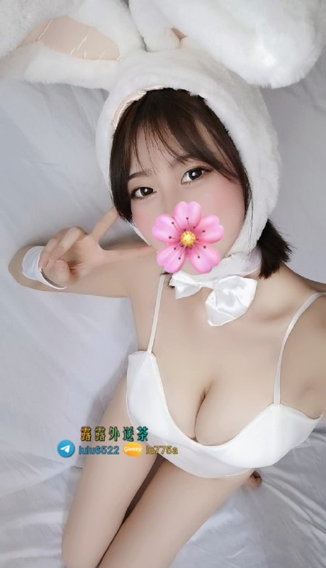 telegram.jpg