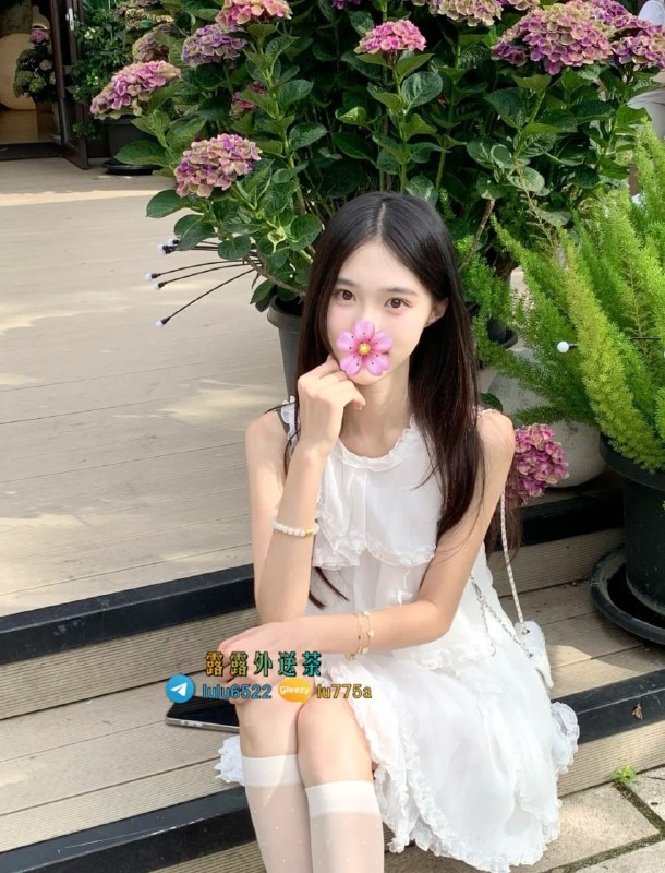 telegram.jpg